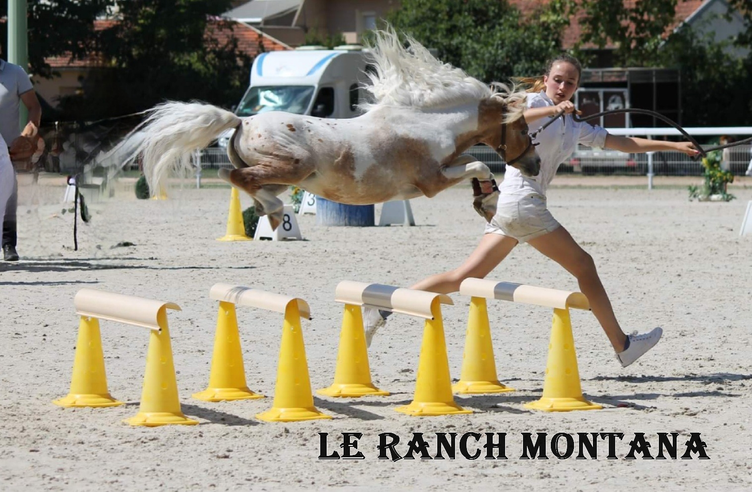 montanaranch